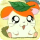 Avatar Hamtaro