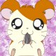 Avatar Hamtaro